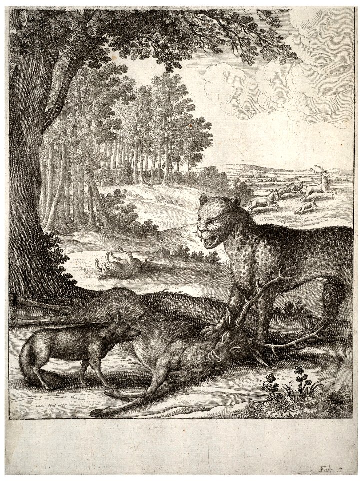 Wenceslas Hollar - The leopard, the fox, and the ass (State 2)