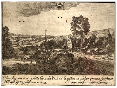Wenceslas Hollar - July
