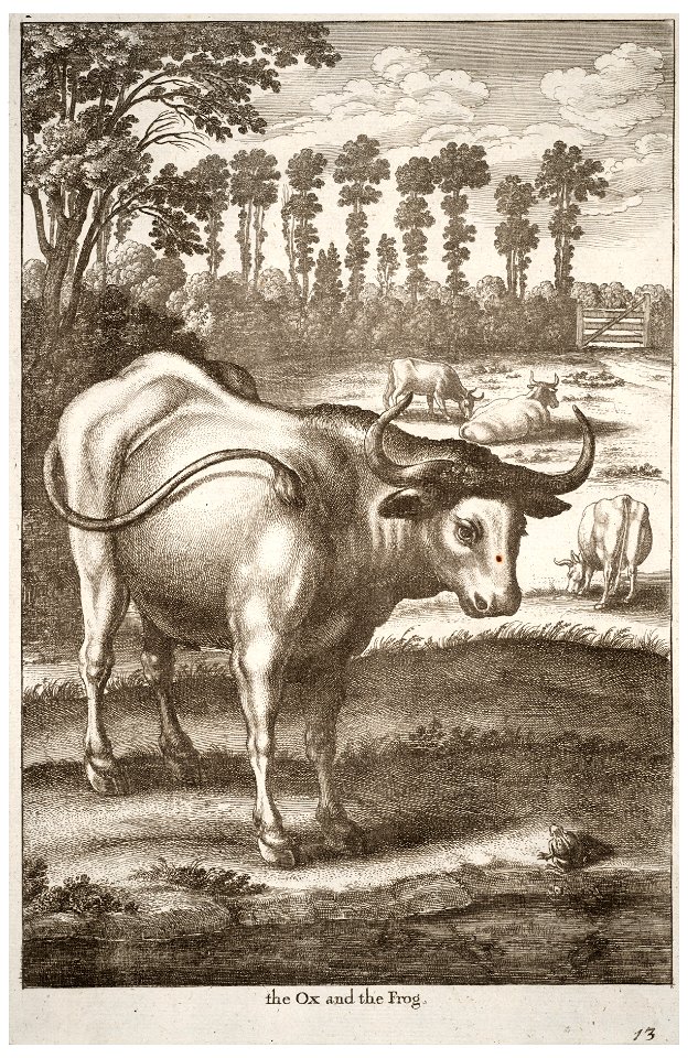 Wenceslas Hollar - Ox and frog