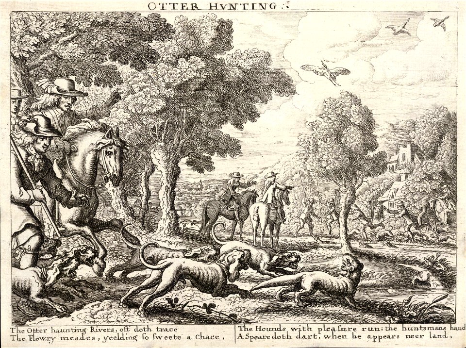 Wenceslas Hollar - Otter hunting