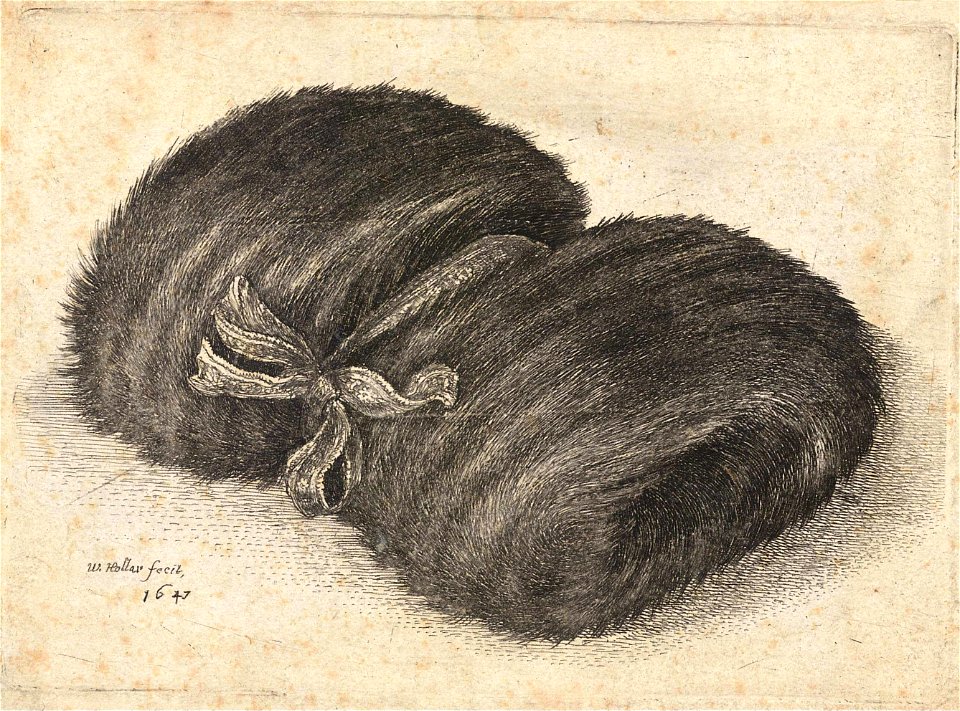 Wenceslas Hollar - Fur muff with ribbon