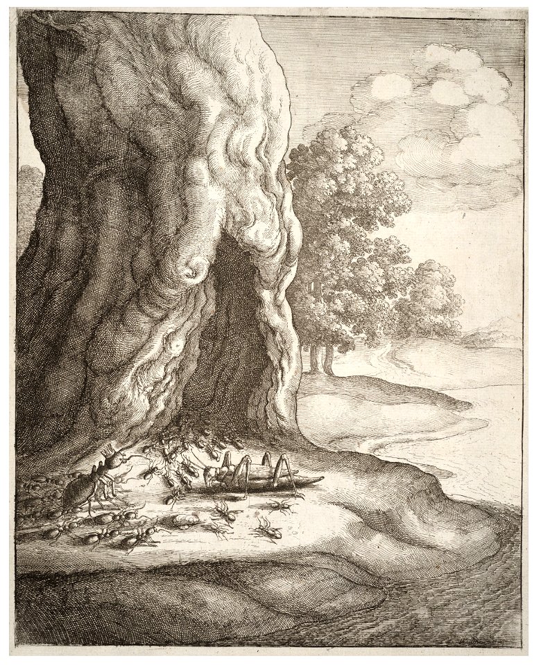 Wenceslas Hollar - The ant and the grasshopper (State 2)