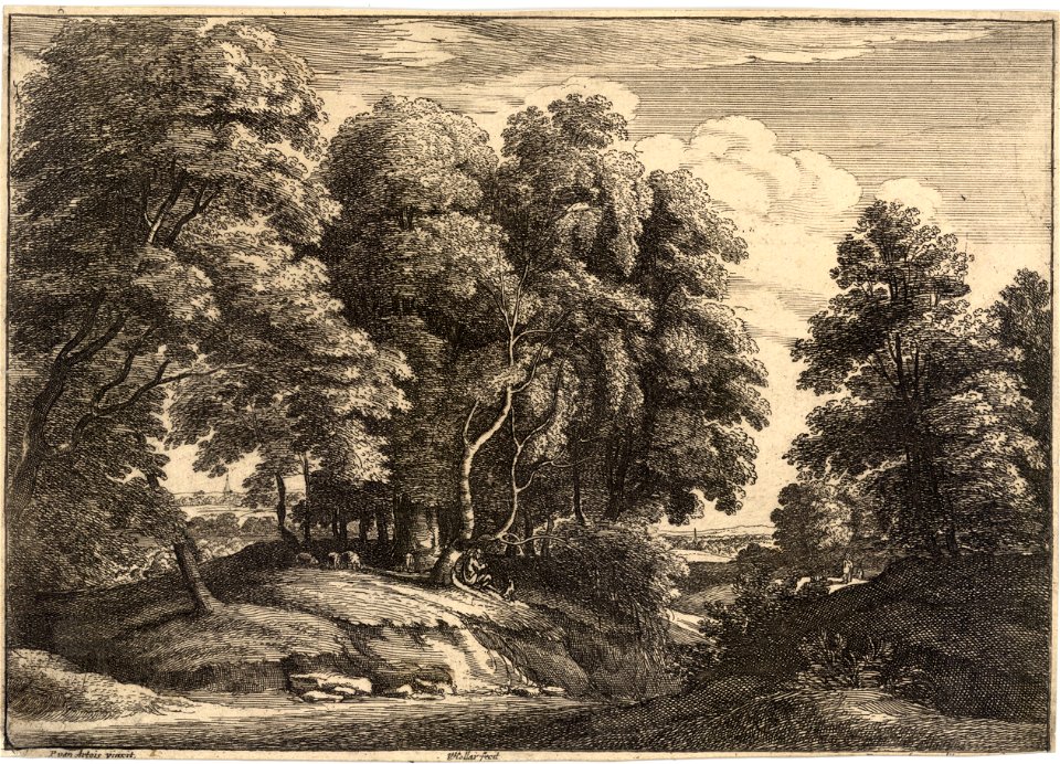Wenceslas Hollar - The shepherd in the wood (Jacques van Artois) (State 2)