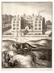 Wenceslas Hollar - The cat and the cock 2