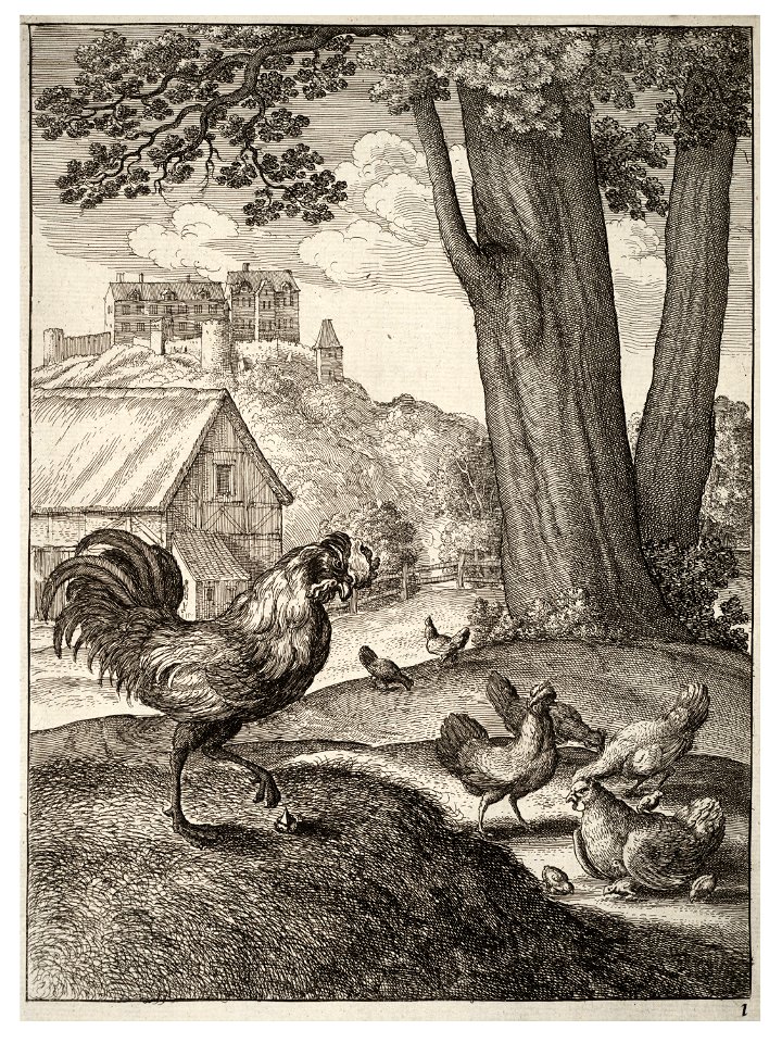 Wenceslas Hollar - The cock and the jewel