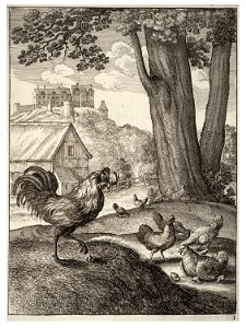 Wenceslas Hollar - The cock and the jewel