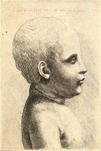 Wenceslas Hollar - Profile of naked child