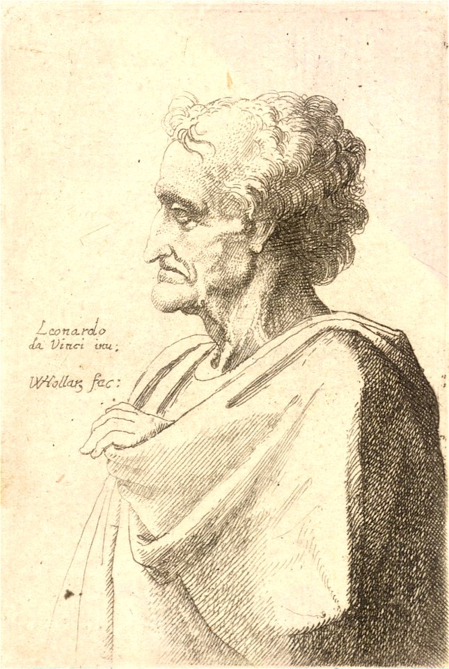 Wenceslas Hollar - Old man with curly hair and a lock of hair on his forehead (State 2)