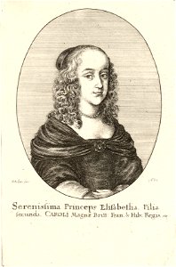 Wenceslas Hollar - Princess Elizabeth