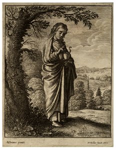 Wenceslas Hollar - St John (State 1)