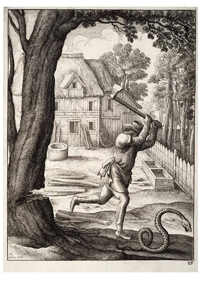 Wenceslas Hollar - The peasant and the snake