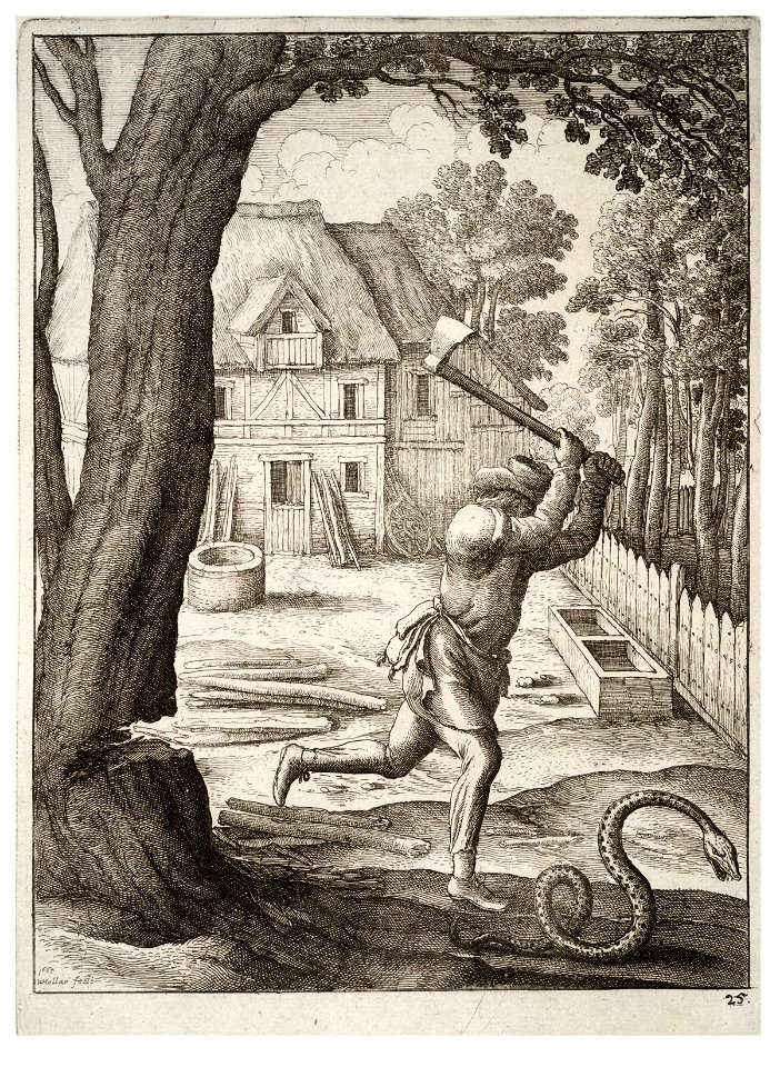 Wenceslas Hollar - The peasant and the snake 2