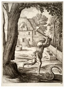 Wenceslas Hollar - The peasant and the snake 2