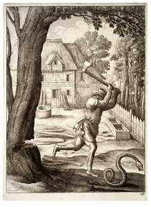 Wenceslas Hollar - The peasant and the snake 2. Free illustration for personal and commercial use.