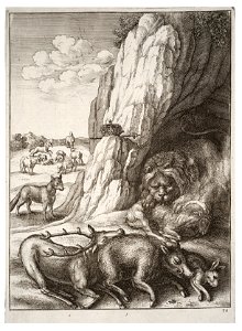 Wenceslas Hollar - The sick lion 2