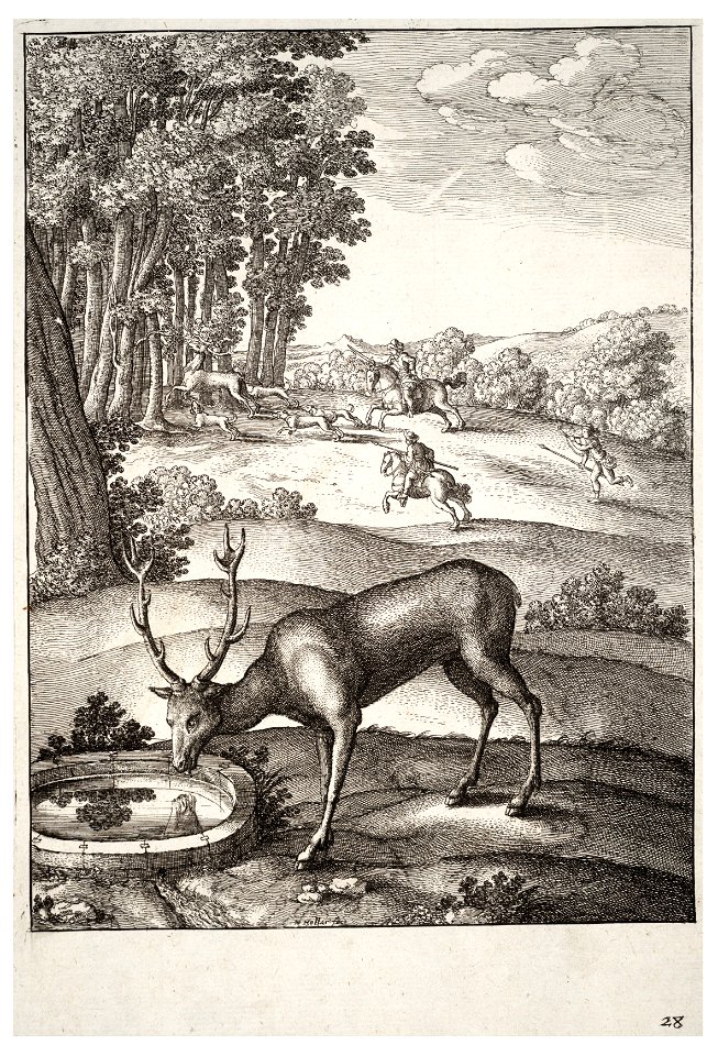 Wenceslas Hollar - The stag (State 2)