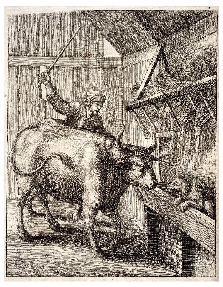 Wenceslas Hollar - The dog in the manger (State 2)