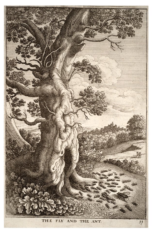 Wenceslas Hollar - The fly and the ant 2