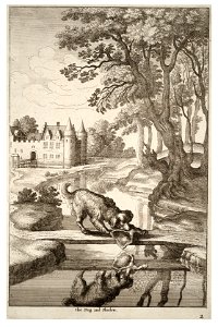 Wenceslas Hollar - The dog and his reflection