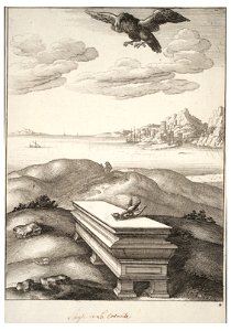Wenceslas Hollar - The eagle and the daw 2