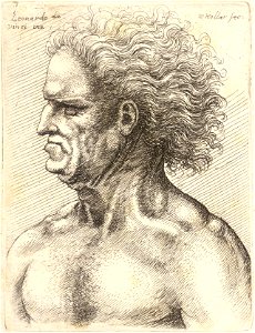 Wenceslas Hollar - Profile of naked man with grim expression and long hair