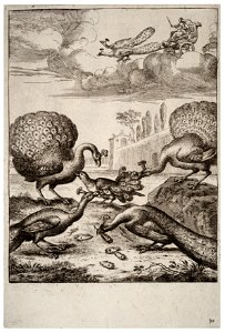 Wenceslas Hollar - The jay and the peacocks