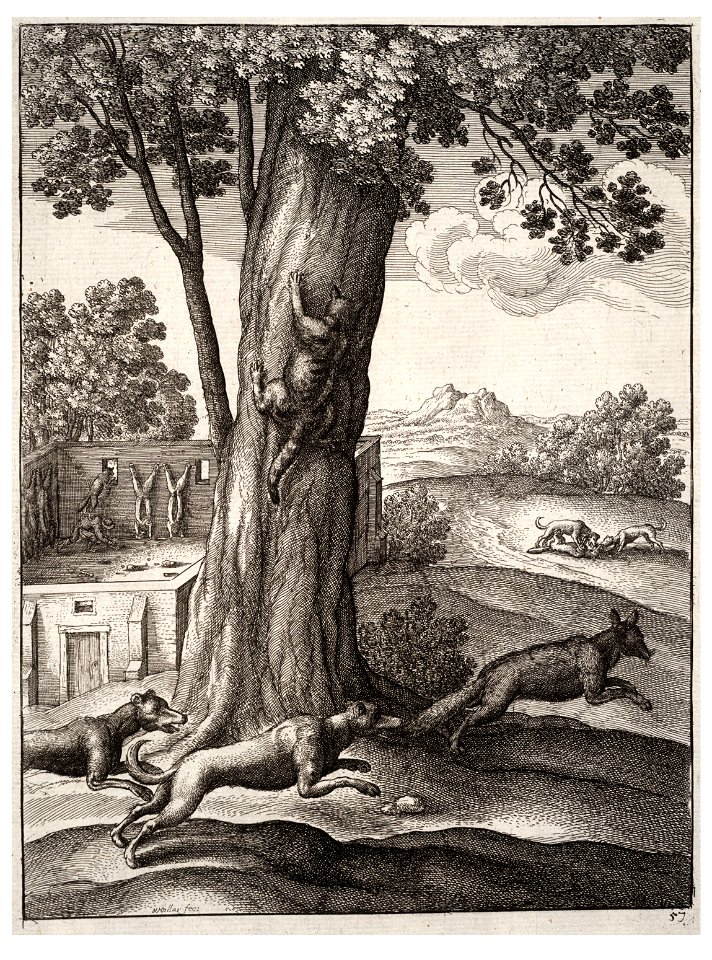 Wenceslas Hollar - The fox and the cat 2