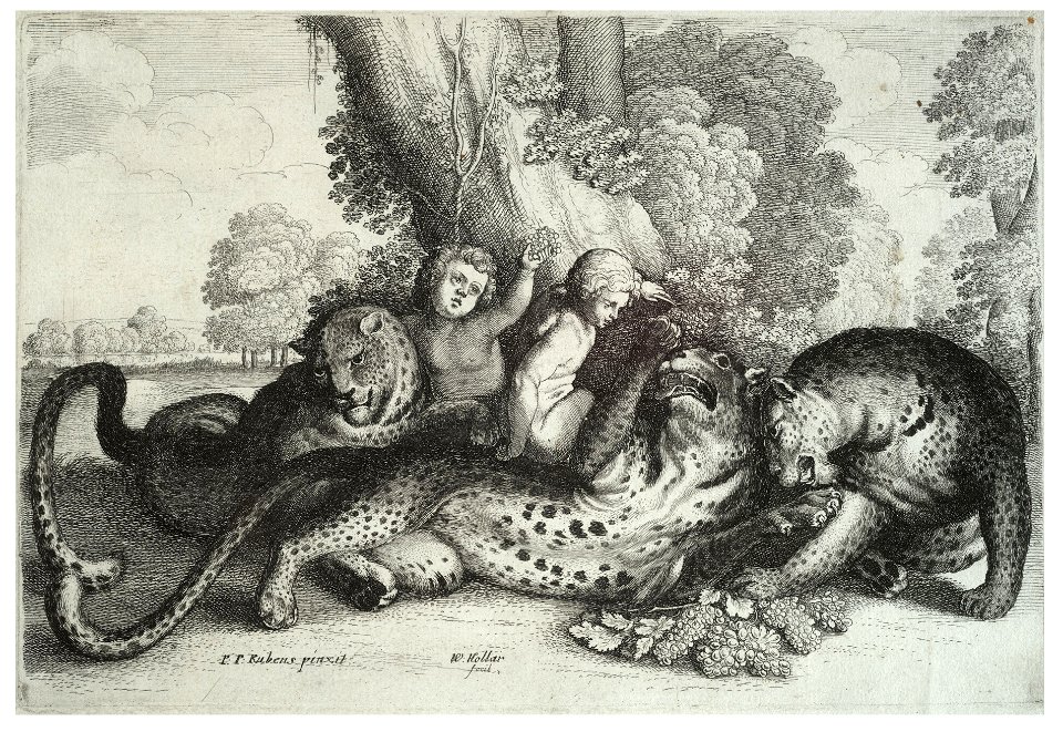 Wenceslas Hollar - Three leopards and two boys