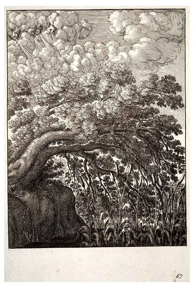 Wenceslas Hollar - The oak and the reed (State 1) 2