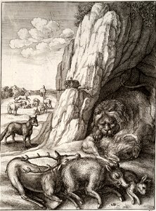 Wenceslas Hollar - The sick lion