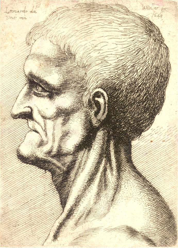 Wenceslas Hollar - Old man, clean shaven, prominent chin and a sinewy neck