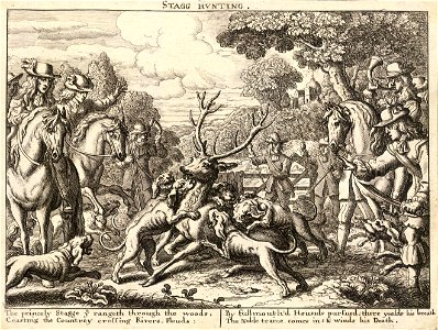 Wenceslas Hollar - Stag hunting