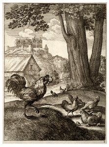Wenceslas Hollar - The cock and the jewel 2