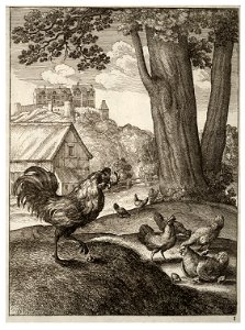 Wenceslas Hollar - The cock and the jewel 2. Free illustration for personal and commercial use.