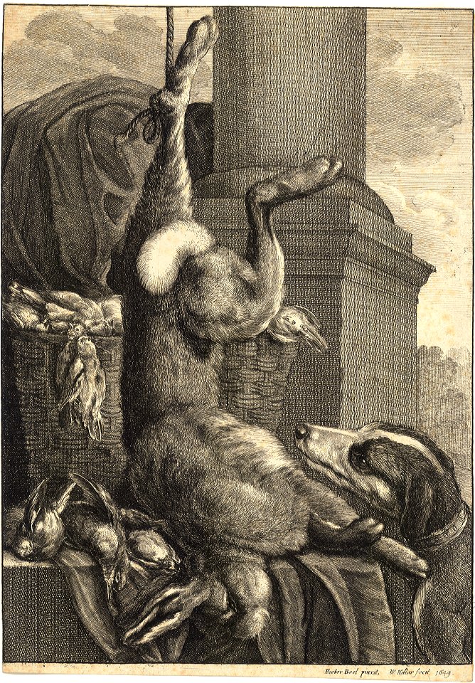 Wenceslas Hollar - The dead hare (State 1)