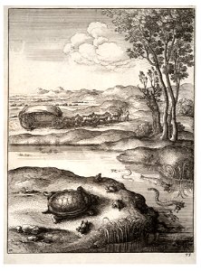 Wenceslas Hollar - The tortoise and the frogs. Free illustration for personal and commercial use.