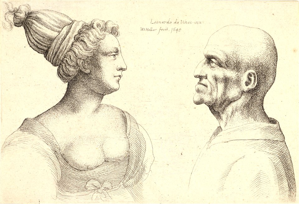 Wenceslas Hollar - Two heads (State 1)