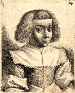 Wenceslas Hollar - Young girl with turned-back sleeves (State 2)