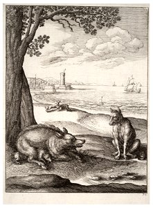 Wenceslas Hollar - The wolf and the sow (State 1). Free illustration for personal and commercial use.