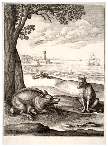 Wenceslas Hollar - The wolf and the sow (State 1)