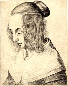 Wenceslas Hollar - Young woman with side curls 2