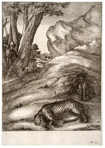 Wenceslas Hollar - The tiger and the fox (State 2)
