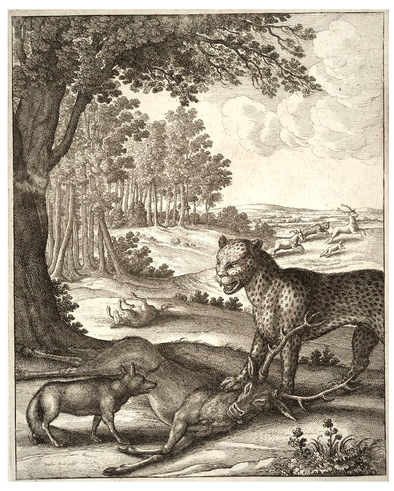 Wenceslas Hollar - The leopard, the fox, and the ass (State 1)