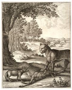 Wenceslas Hollar - The leopard, the fox, and the ass (State 1)