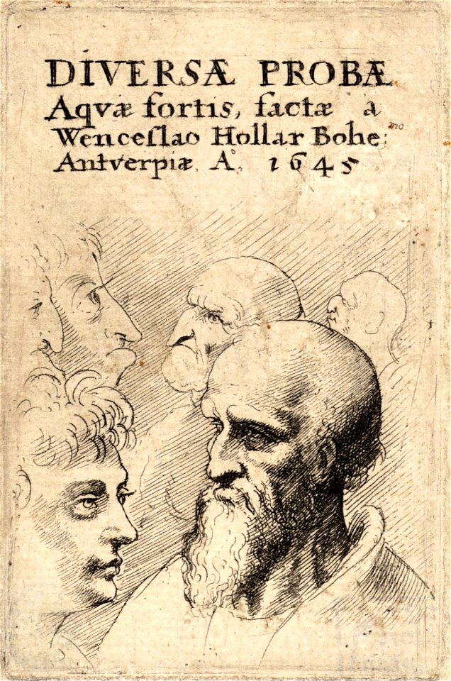 Wenceslas Hollar - Title of 1645