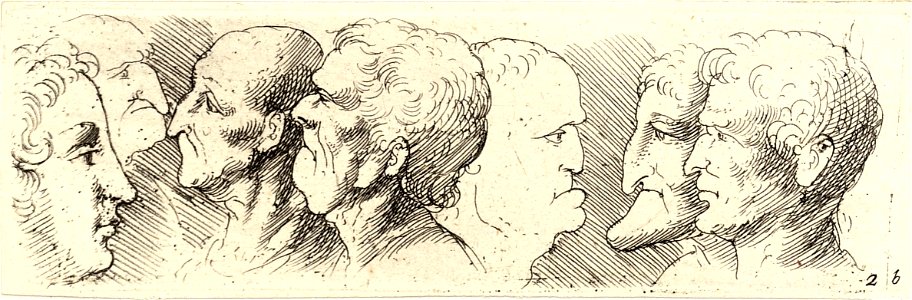 Wenceslas Hollar - Seven heads in profile (State 2)