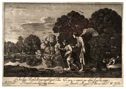 Wenceslas Hollar - Tobias and the Angel (State 2). Free illustration for personal and commercial use.