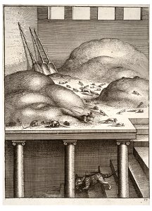 Wenceslas Hollar - The old weasel and the mice. Free illustration for personal and commercial use.