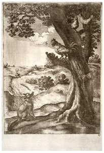 Wenceslas Hollar - The fox and the cock