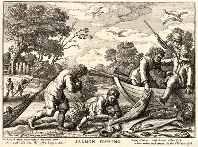 Wenceslas Hollar - Salmon fishing (State 1). Free illustration for personal and commercial use.